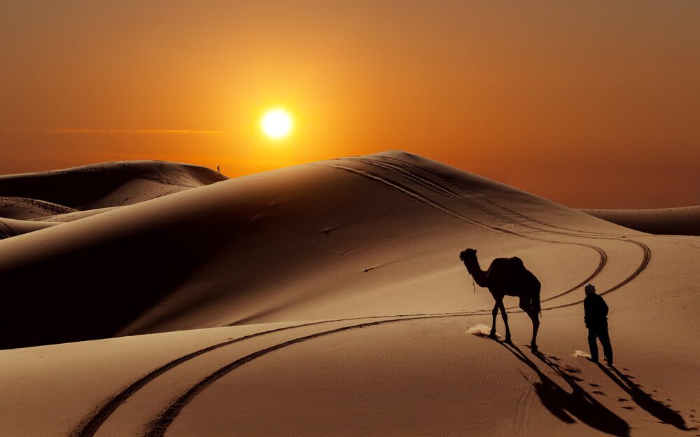 Desert Tour
